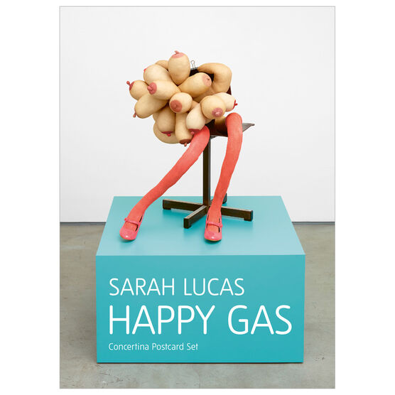 Sarah Lucas Bunny Series concertina postcard book